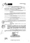 Vista preliminar de documento RDR 10913-2024