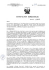 Vista preliminar de documento R.D. Nº 024-2025
