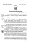 Vista preliminar de documento RD N°024-2025-HNCH-DG