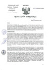 Vista preliminar de documento RD-024-2025-OP-DG-INCN