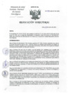 Vista preliminar de documento RD-025-2025-OP-DG-INCN