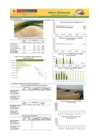 Vista preliminar de documento Boletín de ARROZ - 02/06/20