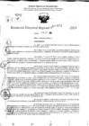 Vista preliminar de documento RDR 10923-2024