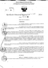 Vista preliminar de documento RDR 10927-2024