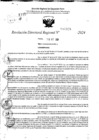 Vista preliminar de documento RDR 10928-2024