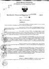 Vista preliminar de documento RDR 10933-2024