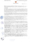Vista preliminar de documento 0036_2025