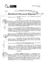 Vista preliminar de documento RDR 10935-2024