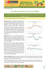 Vista preliminar de documento Boletín de Abastecimiento y Precios Mayoristas GMML y MM Nº2 -02/06/20