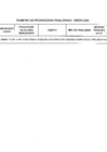 Vista preliminar de documento Penalidades de Procesos de Selección – 2015
