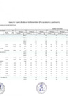 Vista preliminar de documento Anexo N°04 “Cuadro Multianual De Necesidades (Para Aprobación y Publicación”.