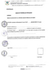 Vista preliminar de documento Formatos