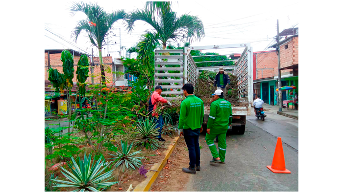 Mantenimiento de Γ‘reas verdes en diferentes puntos de la ciudad de Tarapoto.