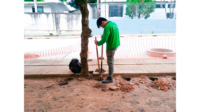 Mantenimiento de Γ‘reas verdes en diferentes puntos de la ciudad de Tarapoto.