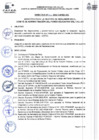 Vista preliminar de documento Directiva