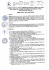 Vista preliminar de documento Directiva