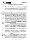 Vista preliminar de documento RDR 10945-2024