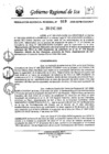 Vista preliminar de documento rgr-019-2025-gore-ica-graf