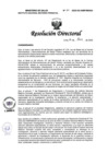 Vista preliminar de documento RD N° 011-2025-DG-INMP/MINSA