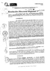 Vista preliminar de documento RDR 10946-2024