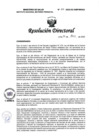 Vista preliminar de documento RD N° 013-2025-DG-INMP/MINSA
