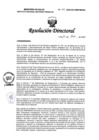 Vista preliminar de documento RD N° 014-2025-DG-INMP/MINSA