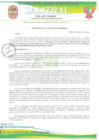 Vista preliminar de documento R.A Nº001-2025