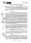Vista preliminar de documento RDR 10948-2024
