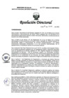 Vista preliminar de documento RD N° 017-2025-DG-INMP/MINSA