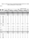 Vista preliminar de documento Cuadro Multianual de Necesidades (Anexo 04).