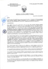 Vista preliminar de documento RD-0466-2025-DSAIA-DIRIS-LE-MINSA