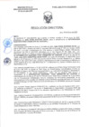 Vista preliminar de documento RD-0467-2025-DSAIA-DIRIS-LE-MINSA