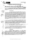 Vista preliminar de documento RDR 10950-2024