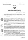 Vista preliminar de documento RD N°027-2025-HNCH-DG