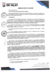 Vista preliminar de documento AC003-2025-MDI
