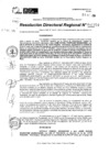 Vista preliminar de documento RDR 10954-2024