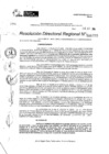 Vista preliminar de documento RDR 10955-2024