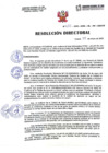 Vista preliminar de documento Resolución Directoral N025 -2025-DRSL-RL-HH-SBS