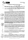 Vista preliminar de documento RDR 10956-2024