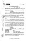 Vista preliminar de documento RDR 10957-2024