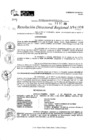 Vista preliminar de documento RDR 10958-2024