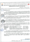 Vista preliminar de documento Reconocer