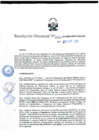 Vista preliminar de documento RD 024-2025-MIDAGRI-PEJSIB-DE