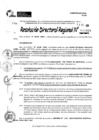 Vista preliminar de documento RDR 10963-2024