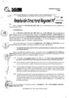 Vista preliminar de documento RDR 10966-2024