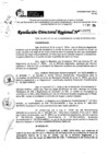 Vista preliminar de documento RDR 10972-2024