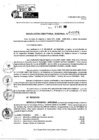 Vista preliminar de documento RDR 10974-2024