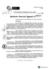 Vista preliminar de documento RDR 0509-2025