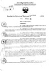Vista preliminar de documento RDR 10975-2024
