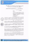 Vista preliminar de documento RG N°919-2024